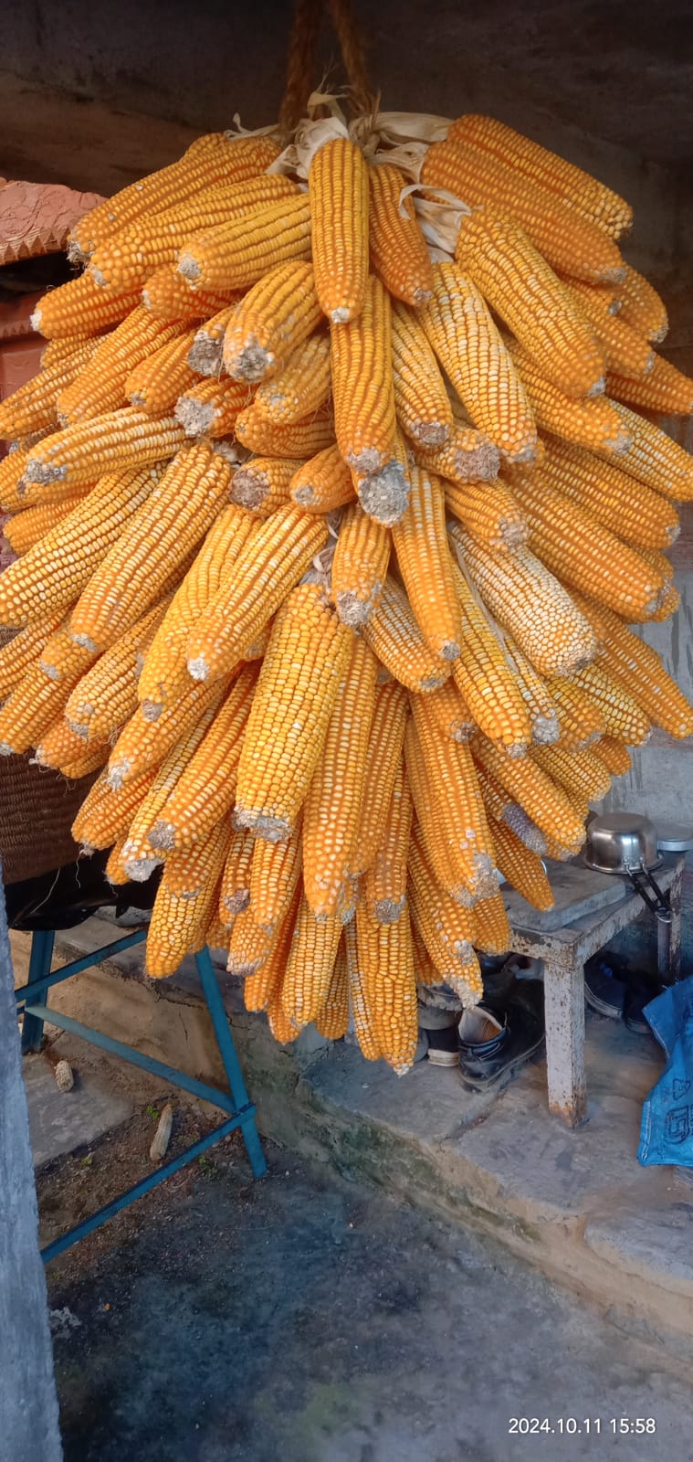 खाद्य परम्परा