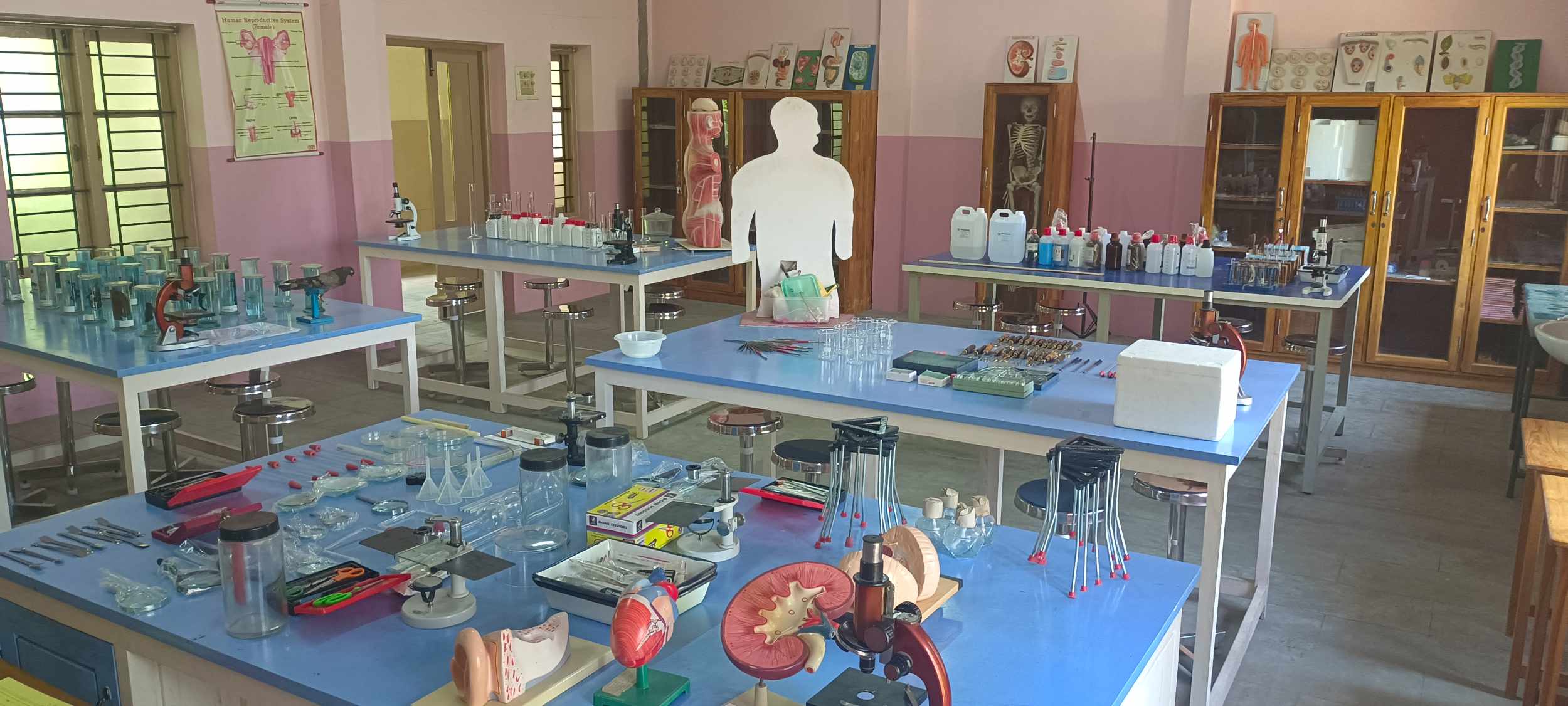 Biology Lab 