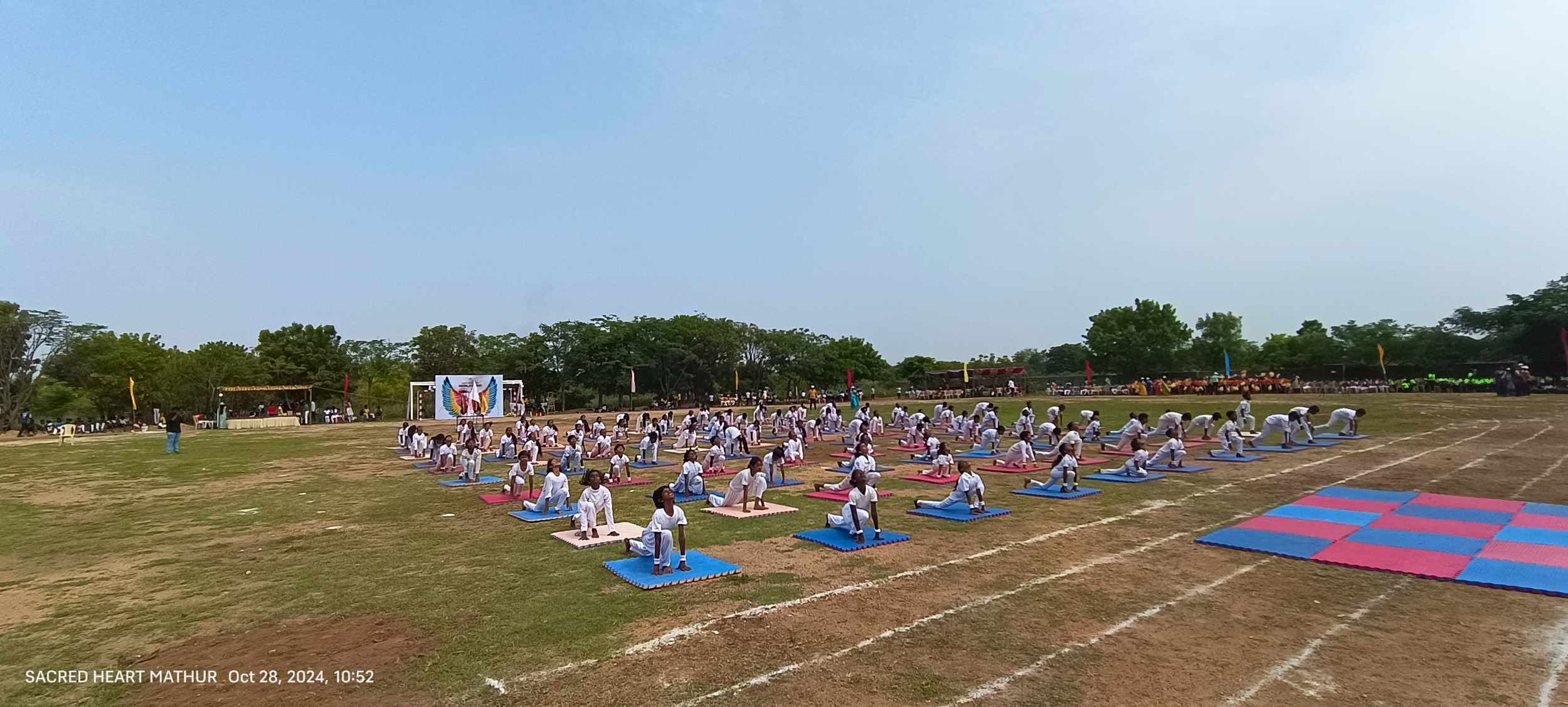 Yoga Day